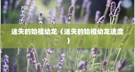 迷失的始祖幼龙（迷失的始祖幼龙速度）