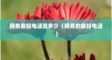 网易客服电话是多少（网易的客服电话）