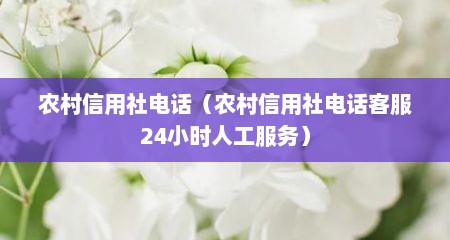 农村信用社电话（农村信用社电话客服24小时人工服务）