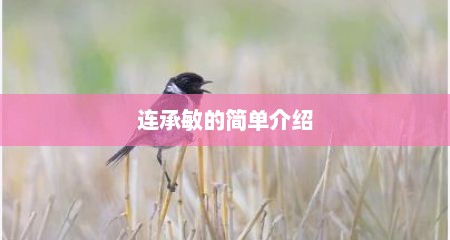 连承敏的简单介绍