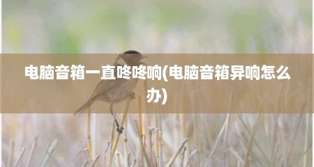 电脑音箱一直咚咚响(电脑音箱异响怎么办)