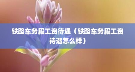 铁路车务段工资待遇（铁路车务段工资待遇怎么样）