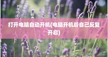 打开电脑自动开机(电脑开机后自己反复开启)