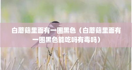 白蘑菇里面有一圈黑色（白蘑菇里面有一圈黑色能吃吗有毒吗）
