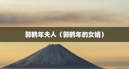 郭鹤年夫人（郭鹤年的女婿）