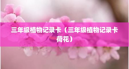 三年级植物记录卡（三年级植物记录卡荷花）