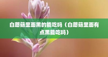 白蘑菇里面黑的能吃吗（白蘑菇里面有点黑能吃吗）