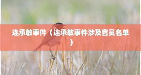 连承敏事件（连承敏事件涉及官员名单）