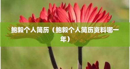 鲍毅个人简历（鲍毅个人简历资料哪一年）