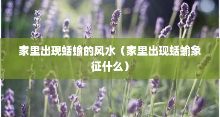 家里出现蛞蝓的风水（家里出现蛞蝓象征什么）