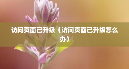 访问页面已升级（访问页面已升级怎么办）