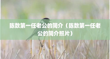 陈数第一任老公的简介（陈数第一任老公的简介照片）