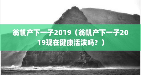 翁帆产下一子2019（翁帆产下一子2019现在健康活泼吗？）