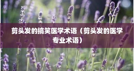 剪头发的搞笑医学术语（剪头发的医学专业术语）