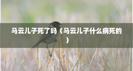 马云儿子死了吗（马云儿子什么病死的）