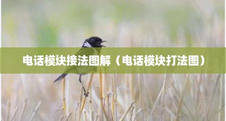 电话模块接法图解（电话模块打法图）