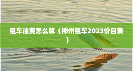 租车油费怎么算（神州租车2023价目表）