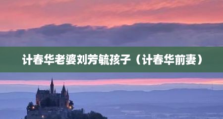 计春华老婆刘芳毓孩子（计春华前妻）