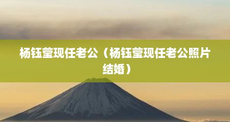 杨钰莹现任老公（杨钰莹现任老公照片 结婚）