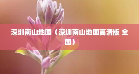 深圳南山地图（深圳南山地图高清版 全图）