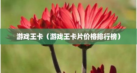 游戏王卡（游戏王卡片价格排行榜）