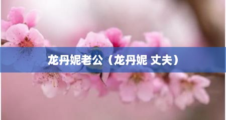 龙丹妮老公（龙丹妮 丈夫）
