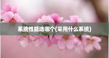 系统性能选哪个(采用什么系统)