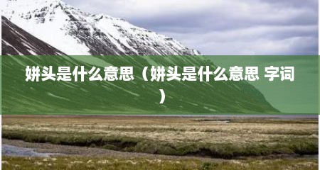 姘头是什么意思（姘头是什么意思 字词）