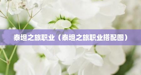 泰坦之旅职业（泰坦之旅职业搭配图）