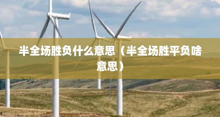 半全场胜负什么意思（半全场胜平负啥意思）