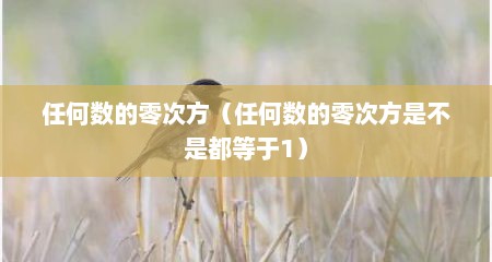 任何数的零次方（任何数的零次方是不是都等于1）