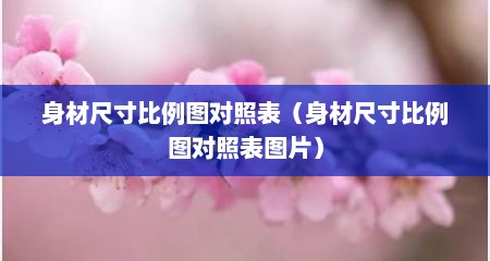 身材尺寸比例图对照表（身材尺寸比例图对照表图片）