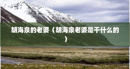 胡海泉的老婆（胡海泉老婆是干什么的）