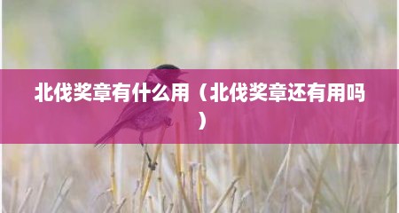 北伐奖章有什么用（北伐奖章还有用吗）
