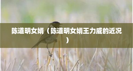 陈道明女婿（陈道明女婿王力威的近况）