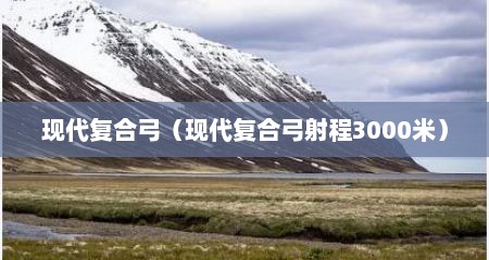 现代复合弓（现代复合弓射程3000米）