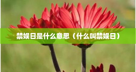 禁娱日是什么意思（什么叫禁娱日）