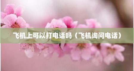 飞机上可以打电话吗（飞机询问电话）