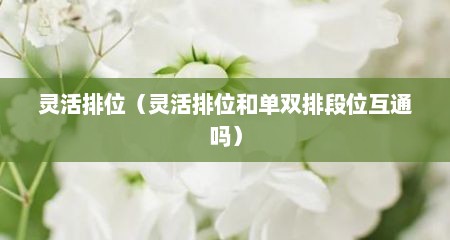 灵活排位（灵活排位和单双排段位互通吗）