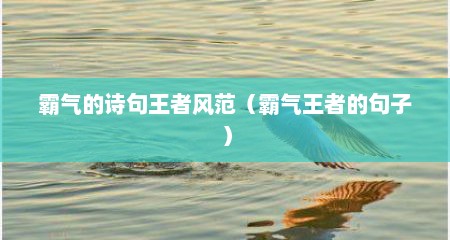 霸气的诗句王者风范（霸气王者的句子）