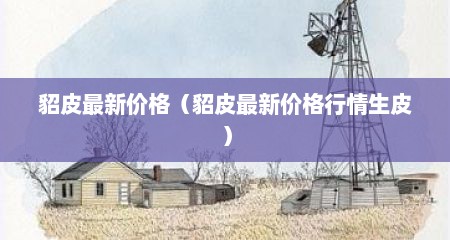 貂皮最新价格（貂皮最新价格行情生皮）