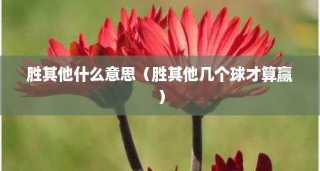 胜其他什么意思（胜其他几个球才算赢）