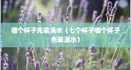 哪个杯子先装满水（七个杯子哪个杯子先装满水）