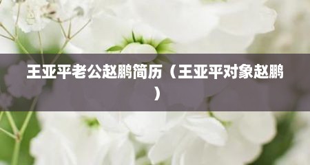 王亚平老公赵鹏简历（王亚平对象赵鹏）