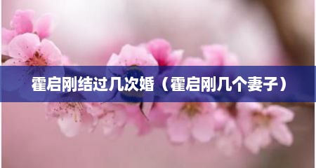 霍启刚结过几次婚（霍启刚几个妻子）