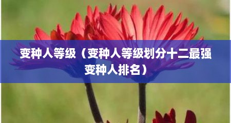 变种人等级（变种人等级划分十二最强变种人排名）