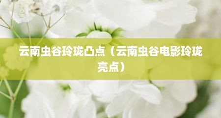 云南虫谷玲珑凸点（云南虫谷电影玲珑亮点）