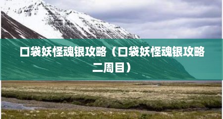口袋妖怪魂银攻略（口袋妖怪魂银攻略二周目）