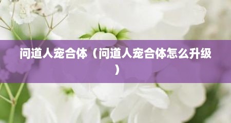 问道人宠合体（问道人宠合体怎么升级）