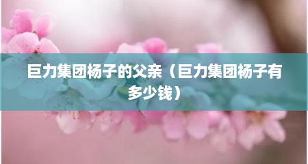 巨力集团杨子的父亲（巨力集团杨子有多少钱）